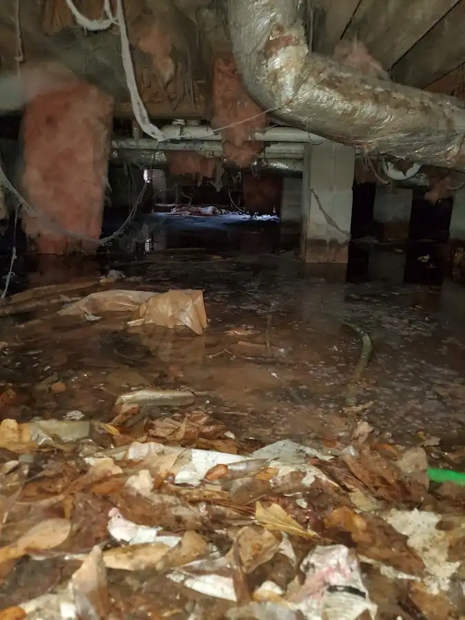 Crawl space flood assessment for Leak Detection & Repair in Oakland